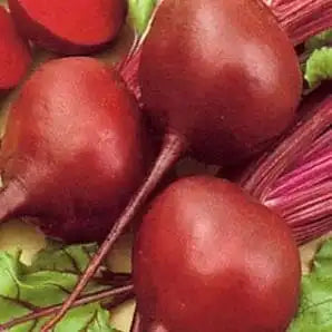 Madhur Beetroot Seeds