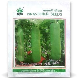 NS 443 BOTTLE GOURD ( एन एस 443 लौकी )