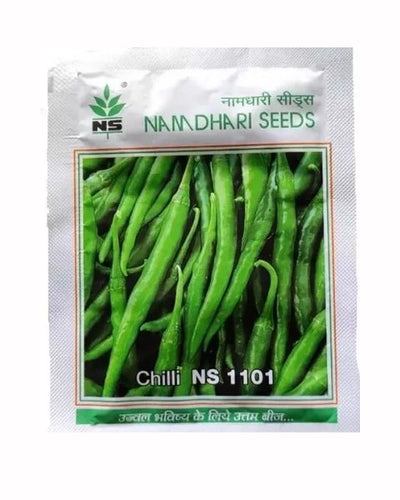 NS 1101 F1 Hybrid Chilli Seeds