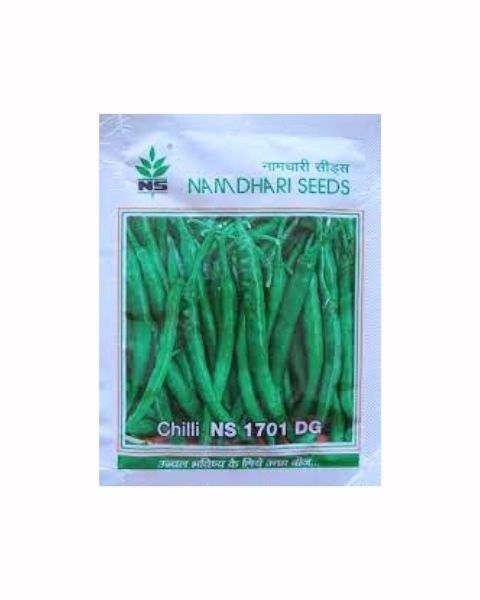 NS 1701 F1 Hybrid DG Chilli Seeds