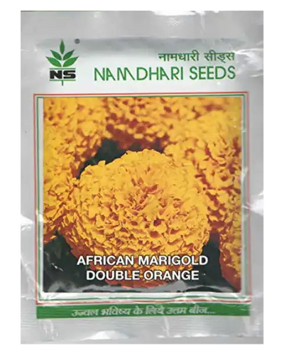 NS Double Orange African Marigold Seeds