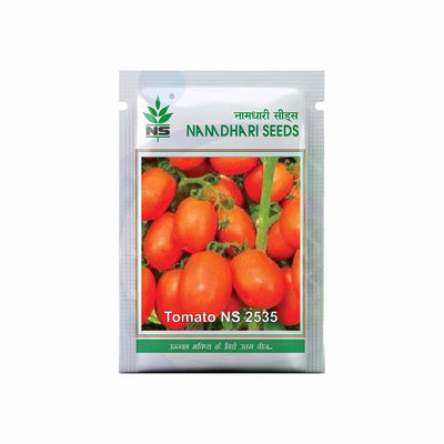 NS 2535 F1 Hybrid Tomato Seeds