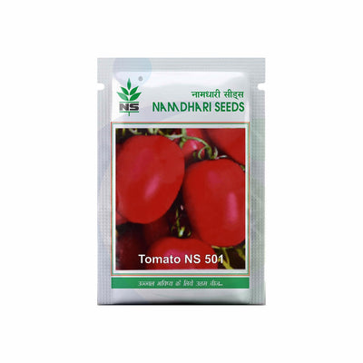 NS 501 F1 Hybrid Tomato Seeds