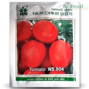 NS 504 (NS 104) TOMATO (एन एस 504)