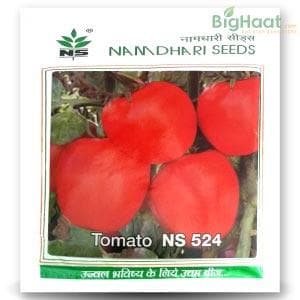 NS 524 TOMATO ( एनएस 524 टमाटर )