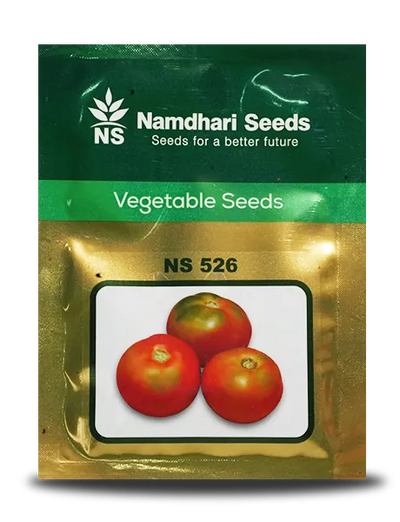 NS 526 F1 Hybrid Tomato Seeds