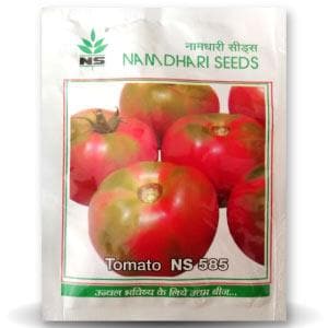 NS 585 F1 Hybrid Tomato Seeds