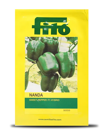 NANDA CAPSICUM