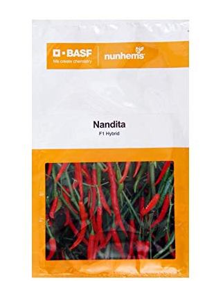 NANDITA CHILLI