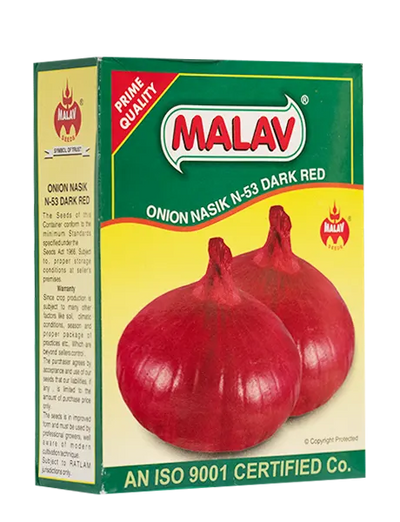 MALAV NASIK RED ONION SEEDS N-53