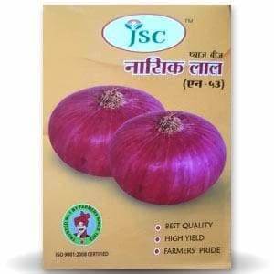 JSC NASIK RED ONION SEEDS N-53