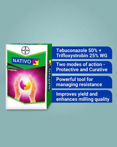 Nativo Fungicide