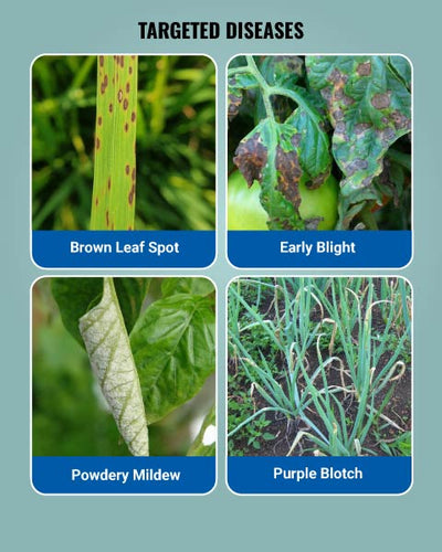 Nativo Fungicide