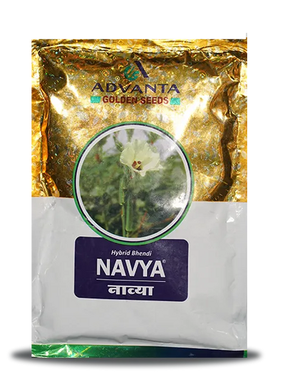 UPL NAVYA HYBRID BHENDI SEEDS, RESISTANCE TO YVMV