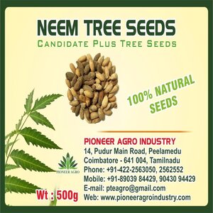 PIONEER AGRO NEEM TREE SEED (AZADIRACHTA INDICA) SEEDS