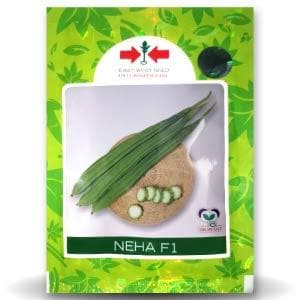 NEHA 196 F1 RIDGE GOURD (नेहा 196 एफ 1 तुरई )