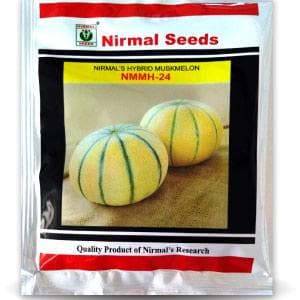 NIRMAL 24 MUSKMELON