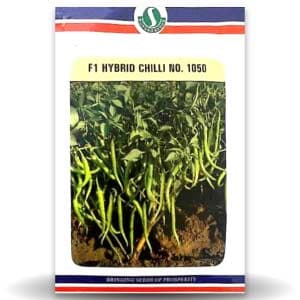 SUNGRO CHILLI SEEDS NO. 1050