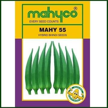 MAHY 55 OKRA ( माहिको नंबर 55 भिंडी )