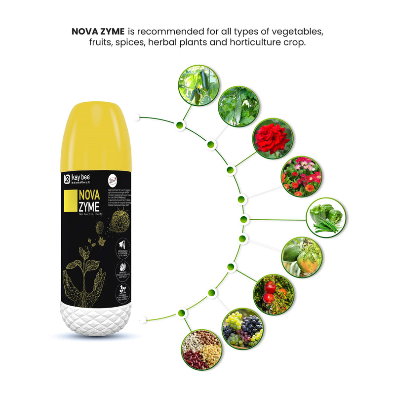 KAY BEE - NOVA ZYME GROWTH REGULATOR