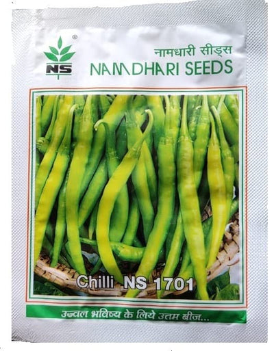 NS 1701 F1 Hybrid LG Chilli Seeds