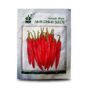 NS 1840 Chilli Seeds