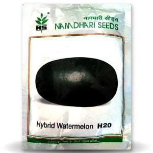 NS 20 WATERMELON (H 20 WATERMELON)