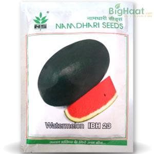 NS 23 WATERMELON (IBH 23 WATERMELON)