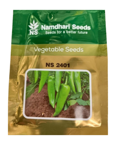 NS 2401 CHILLI SEEDS