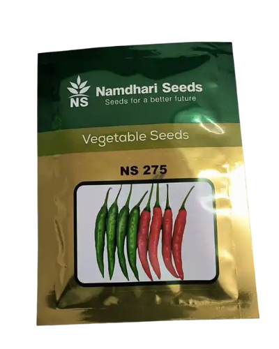 NS 275 CHILLI SEEDS