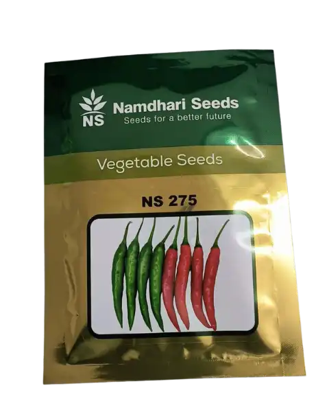 NS 275 CHILLI SEEDS