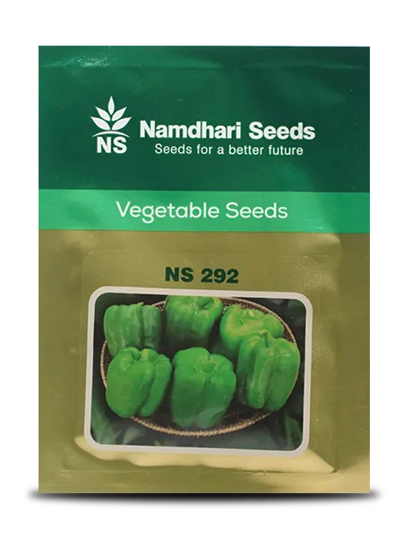 NS 292 F1 Hybrid Capsicum Seeds