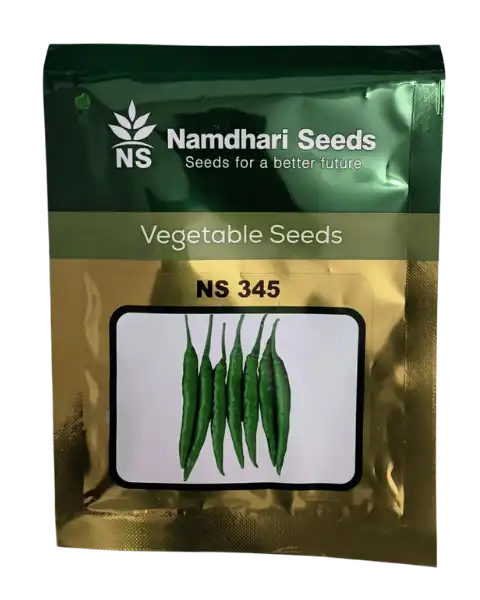 NS 345 CHILLI SEEDS