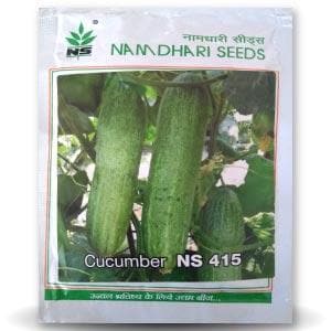 NS 415 F1 Hybrid Cucumber Seeds