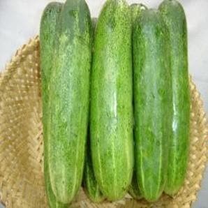 NS 415 F1 Hybrid Cucumber Seeds