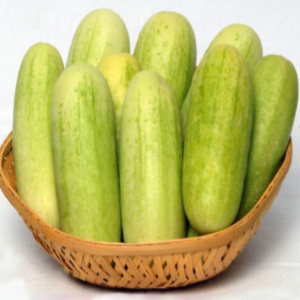 NS 425 CUCUMBER