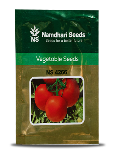 NS 4266 F1 Hybrid Tomato Seeds