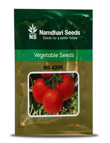 NS 4266 F1 Hybrid Tomato Seeds