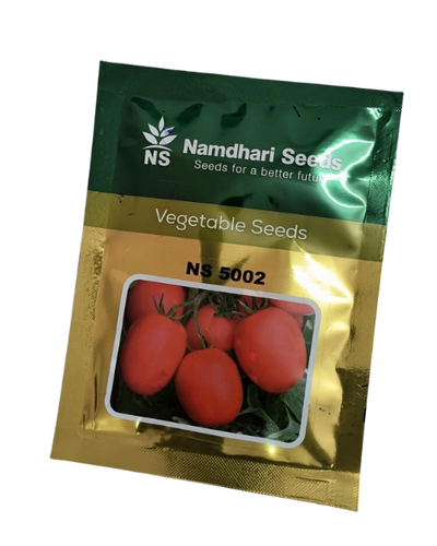 NS 5002 (1068) TOMATO SEEDS