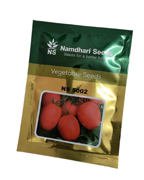 NS 5002 (1068) TOMATO SEEDS