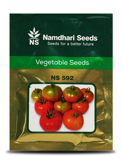 NS 592 F1 Hybrid Tomato Seeds