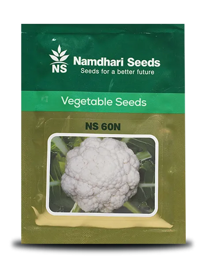 NS 60N F1 Hybrid Cauliflower Seeds