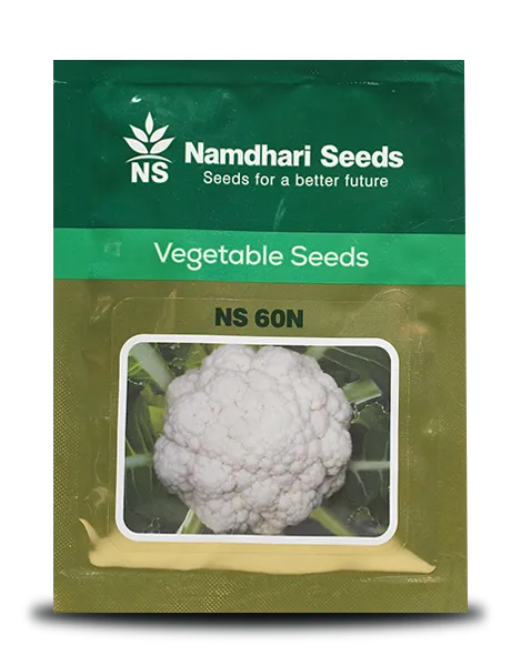 NS 60N F1 Hybrid Cauliflower Seeds