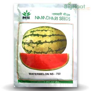 NS 750 WATERMELON