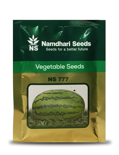 NS 777 F1 Hybrid Watermelon Seeds