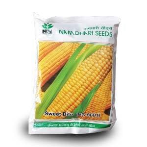 NS 8601 SWEET CORN