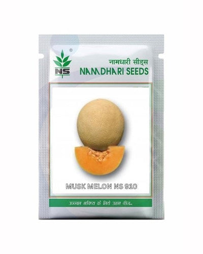 NS 910 F1 Hybrid Muskmelon Seeds