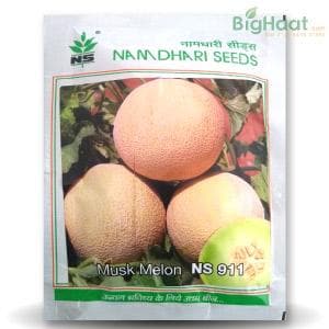 NS 911 (GH 11) MUSKMELON