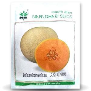 NS 915 F1 Hybrid Muskmelon Seeds