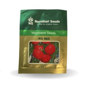 NS 962 F1 Hybrid Tomato Seeds